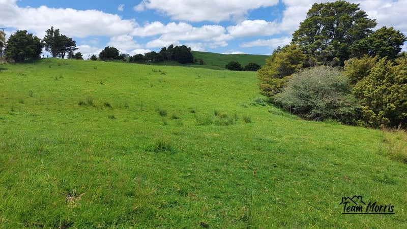 Image 1 of 11
