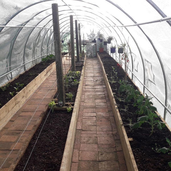 Tunnelhouse Greenhouse 10x3M Carousel 1