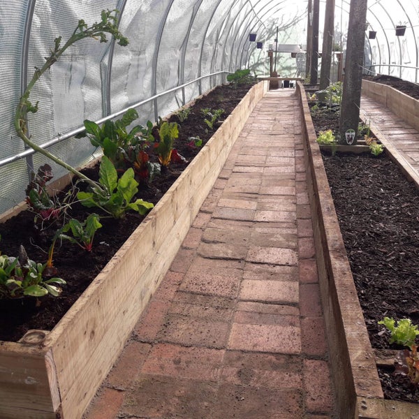 Tunnelhouse Greenhouse 10x3M Carousel 2