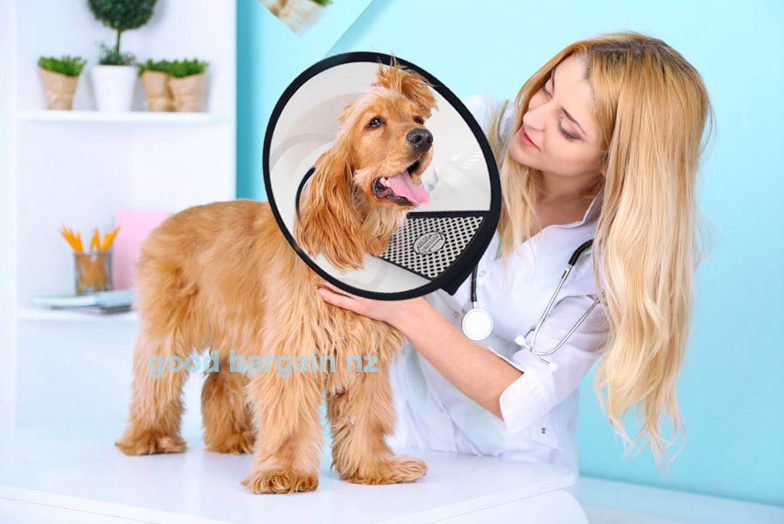 Elizabeth Pet Protection Cover Elizabeth Pet Protection Shield Size XXXL (# 0) Carousel 1