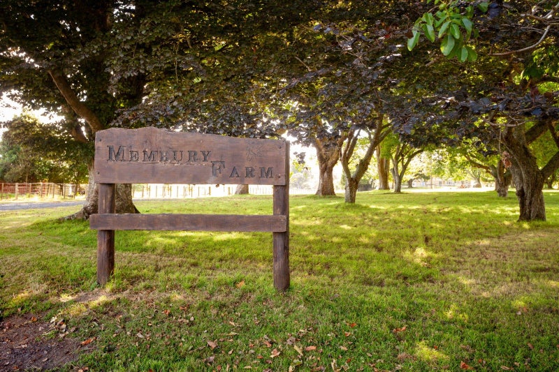 Image 1 of 25