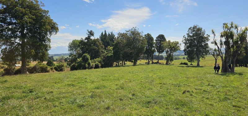 Image 2 of 16
