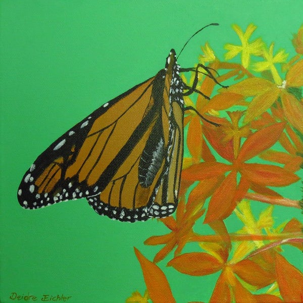 "Monarch Butterfly On Orchids" Original NZ Acrylic Painting by Deidre Eichler
