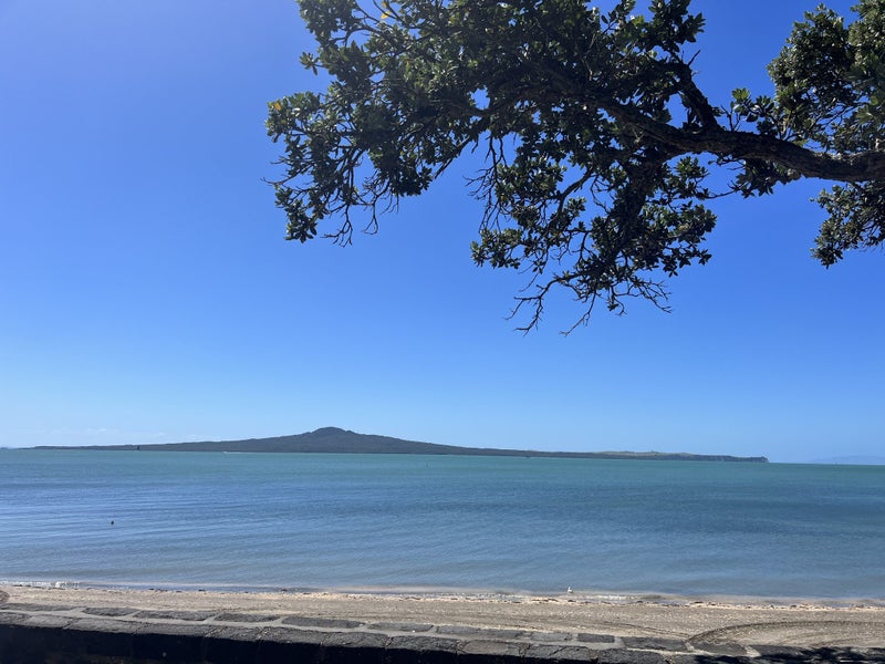 Image 1 of 15