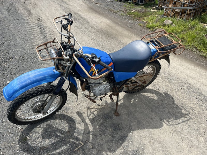 Yamaha AG200 Carousel 1