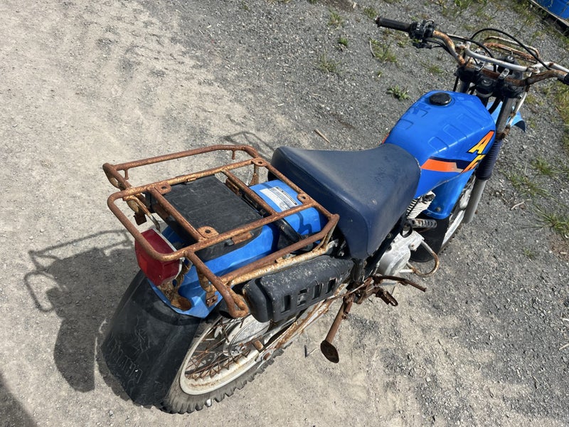Yamaha AG200 Carousel 2