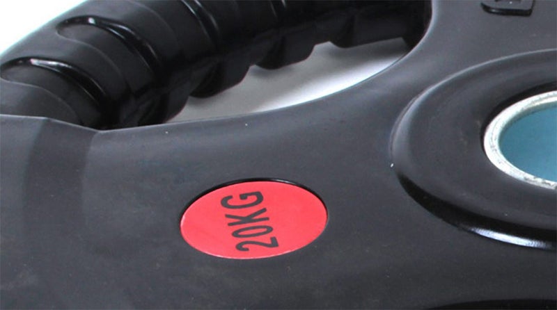 Weight Plate New Carousel 3