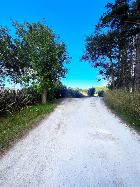 Image 3 of 22