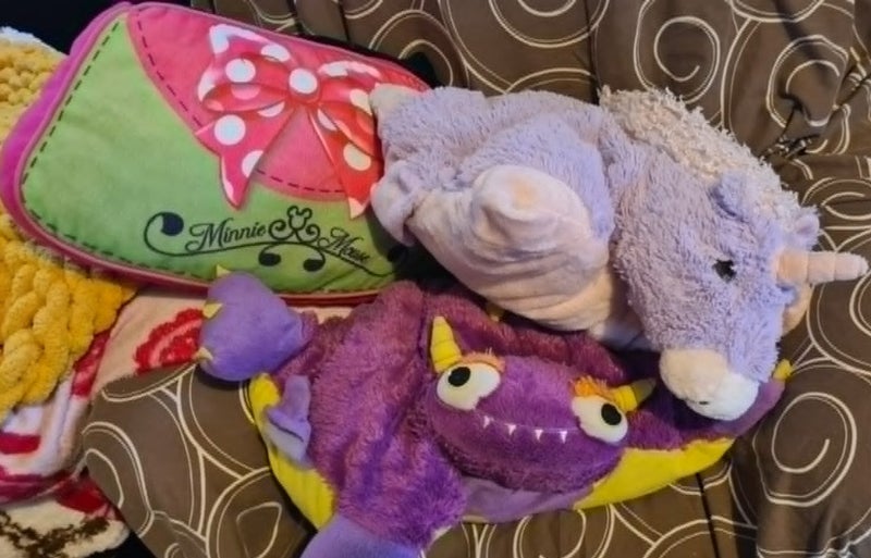 Bulk Pillow Pets - TMNT, Unicorns, Tiders, Ladybugs, Dogs, Pigs, Butterfles ... Carousel 2