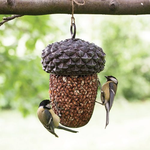 Bird Feeder - Acorn Parnell & Co Carousel 2
