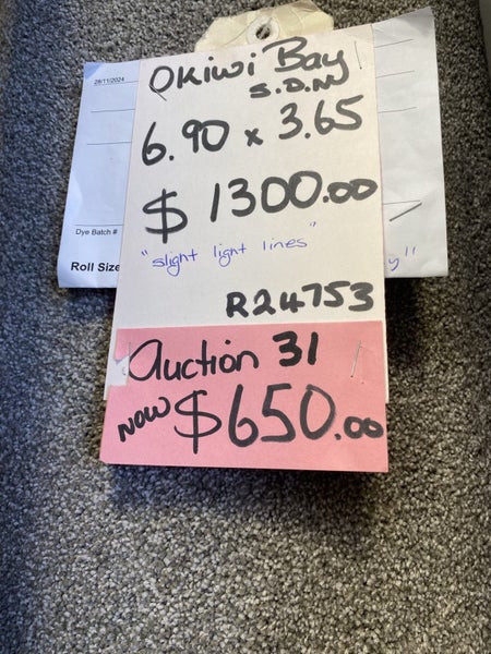 Auction 31- 6.90 x 3.65 metres Solution dyed nylon carpet Carousel 1