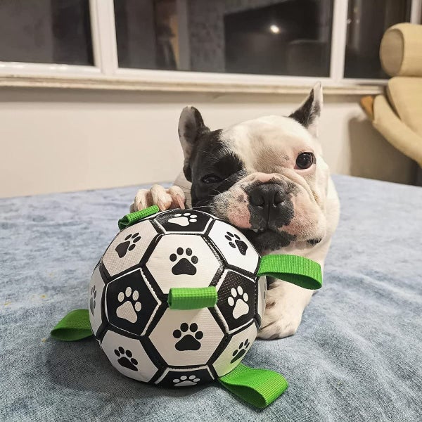 Dog Toy Balls for Hours of Durable Bouncy Fun Playful Lightweight Fetch Ball for Carousel 2