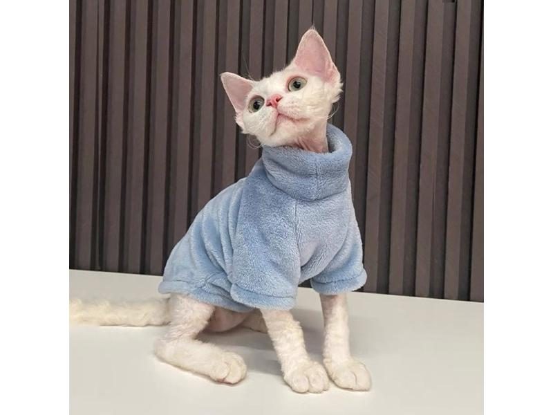 Winter Cat Clothes For Sphinx Chihuahua Thicken Coat Hoodies Carousel 1