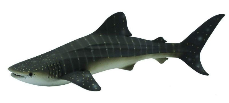 CollectA Whale Shark Figurine Carousel 1