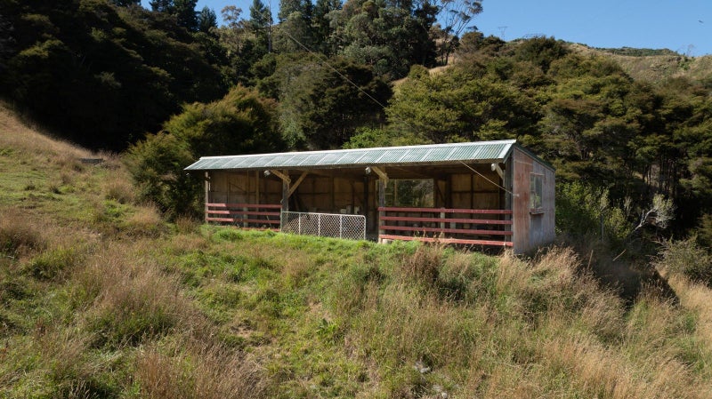 Image 3 of 22