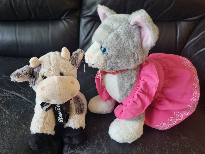 Soft toys bulk, sogs, cats, giraffe, bear, caw Carousel 6
