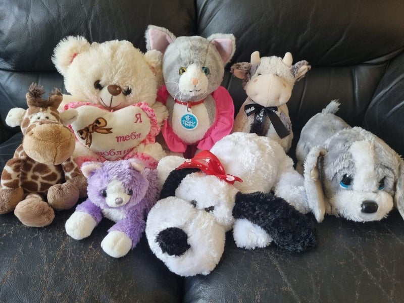 Soft toys bulk, sogs, cats, giraffe, bear, caw Carousel 1