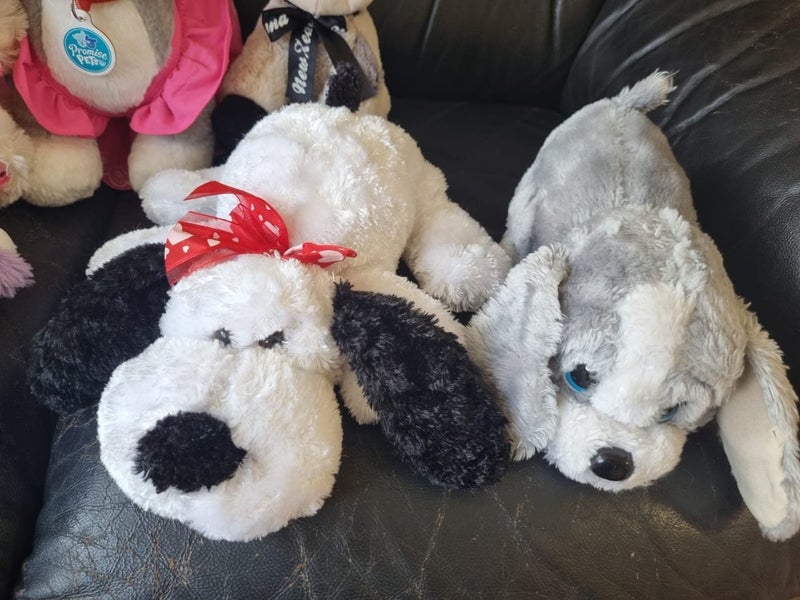 Soft toys bulk, sogs, cats, giraffe, bear, caw Carousel 2
