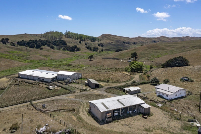 Image 1 of 25