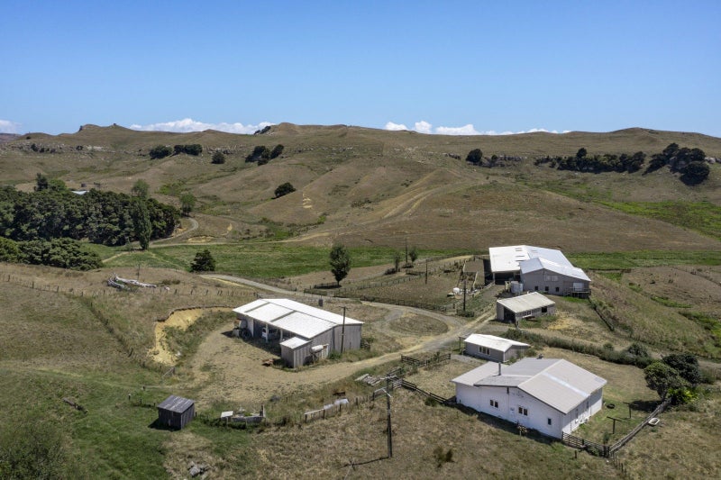 Image 3 of 25