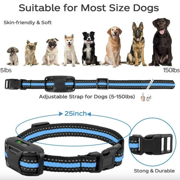 Dog Training Collar Clearance Sale63858369393155112