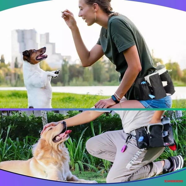 ZINGDOG Hands-Free Dual Dog Leash with Waist Pouch for Running, Walking & Hiking Carousel 11