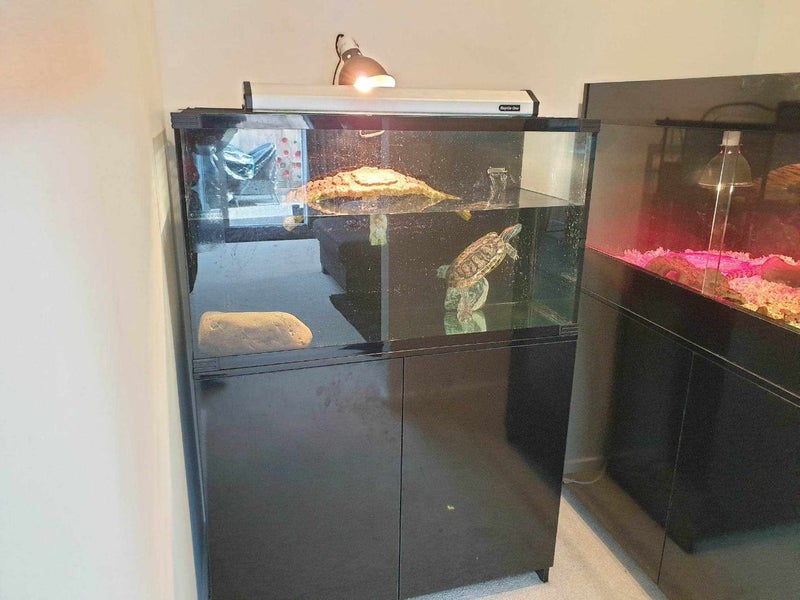 Turtle tank with inbuilt filter system and cabinet Carousel 9