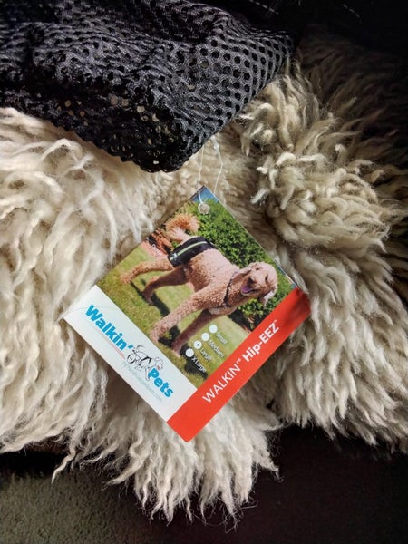 FOR HIP DISPLACIA IN DOGS, BRACE Carousel 2