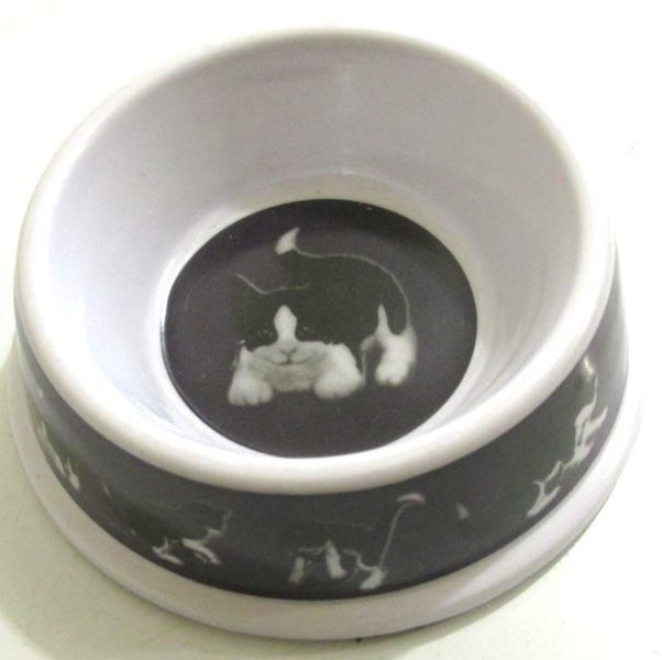 Cat bowl Carousel 1
