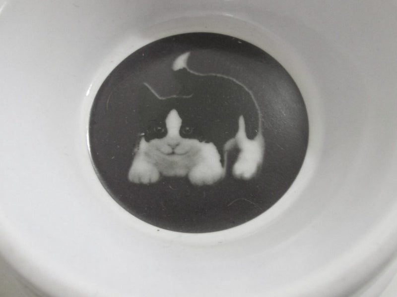 Cat bowl Carousel 5