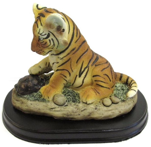 Cute Tiger cub playing with a tortoise Carousel 1
