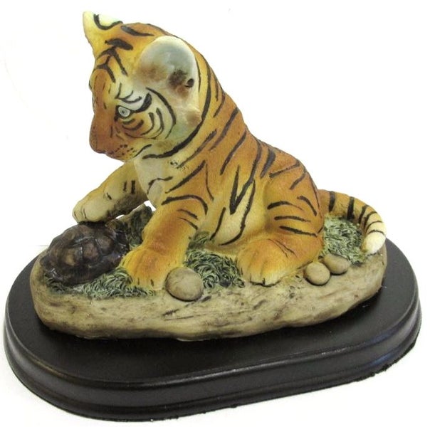 Cute Tiger cub playing with a tortoise Carousel 2