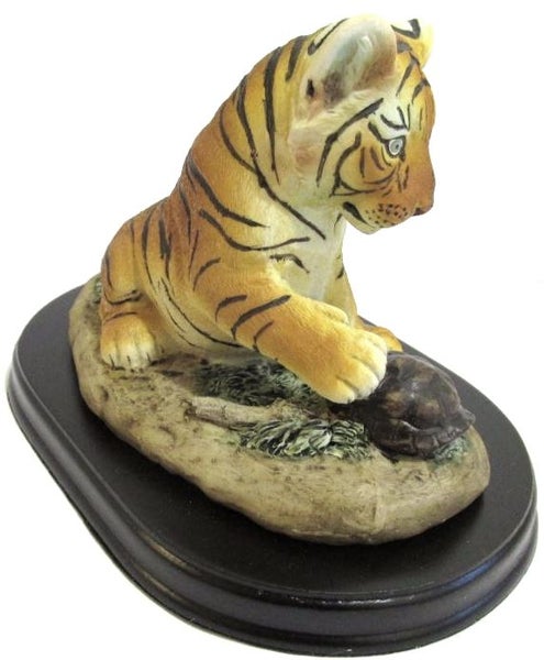 Cute Tiger cub playing with a tortoise Carousel 3