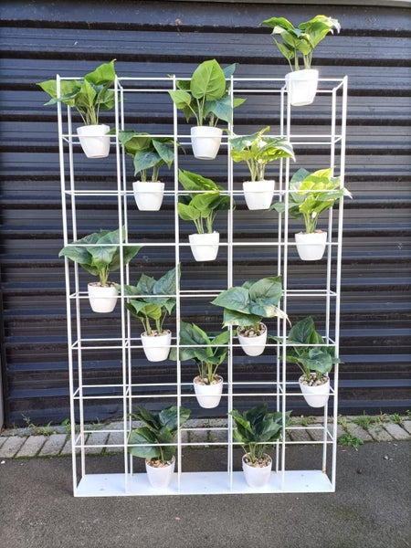 Display shelf Carousel 2