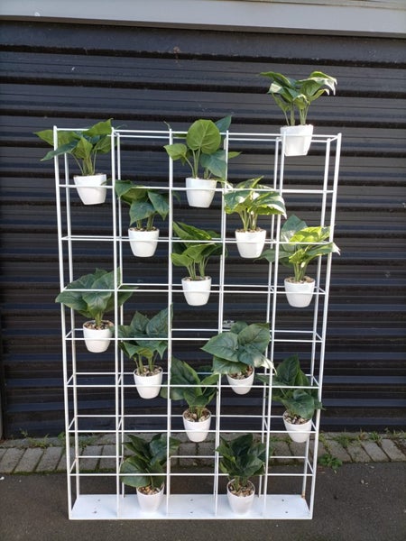 Display shelf Carousel 6
