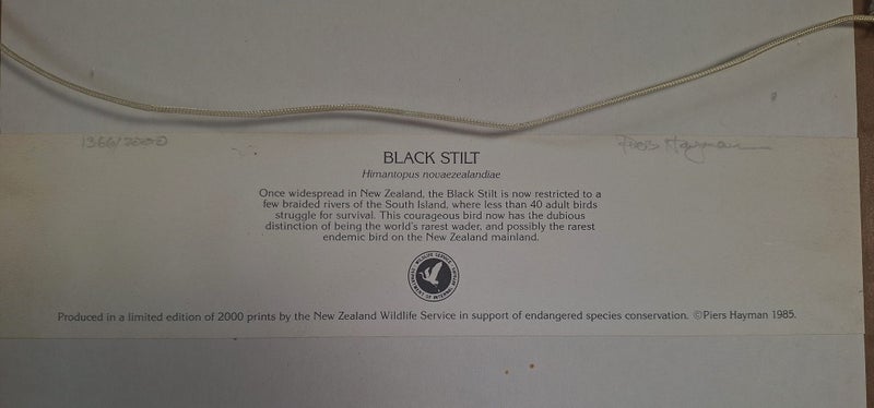 +++ PIERS HAYMAN 1985 " BLACK STILT" EDITION 1366/2000 PRINT +++ Carousel 17