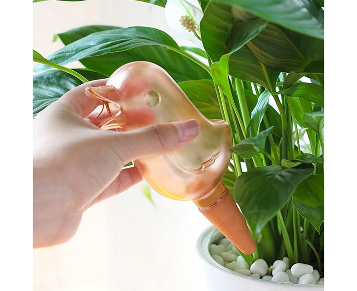 Plant Waterer Bird Shape Self Watering Bulbs Transparent Clear Plant W Carousel 1