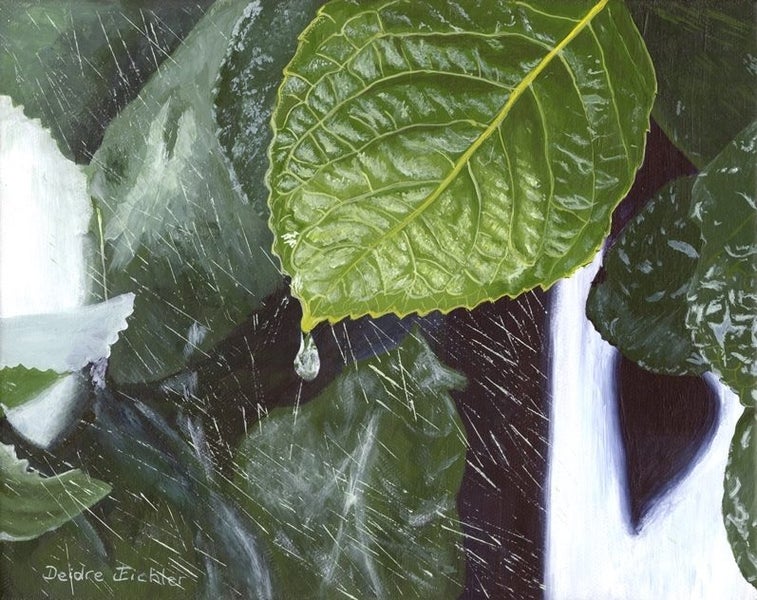 "A Drop of Rain" Original NZ Acrylic Painting by Deidre Eichler