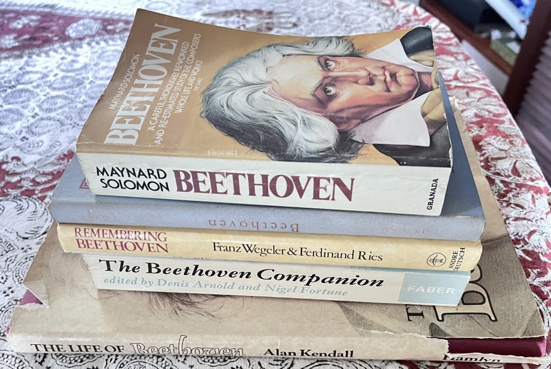 Bulk sale Music genius Beethovenx5 Carousel 1