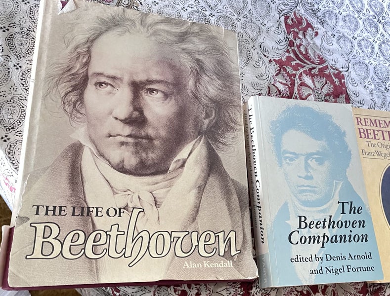 Bulk sale Music genius Beethovenx5 Carousel 2