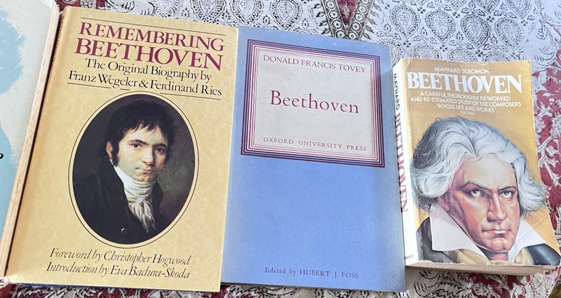 Bulk sale Music genius Beethovenx5 Carousel 3