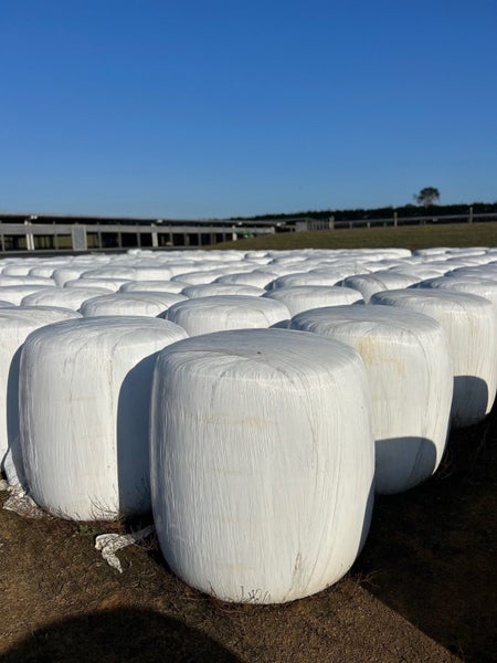 Maize Silage Bales Carousel 1