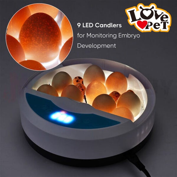 PTN New Egg Incubator Automatic Sale Sale Carousel 1