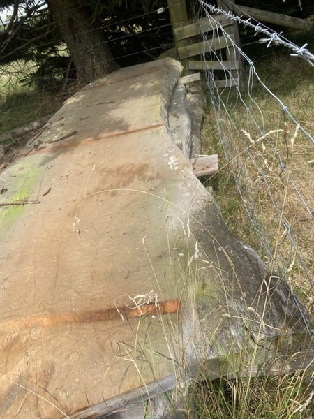 Macrocarpa slab 3.2mtr Carousel 1
