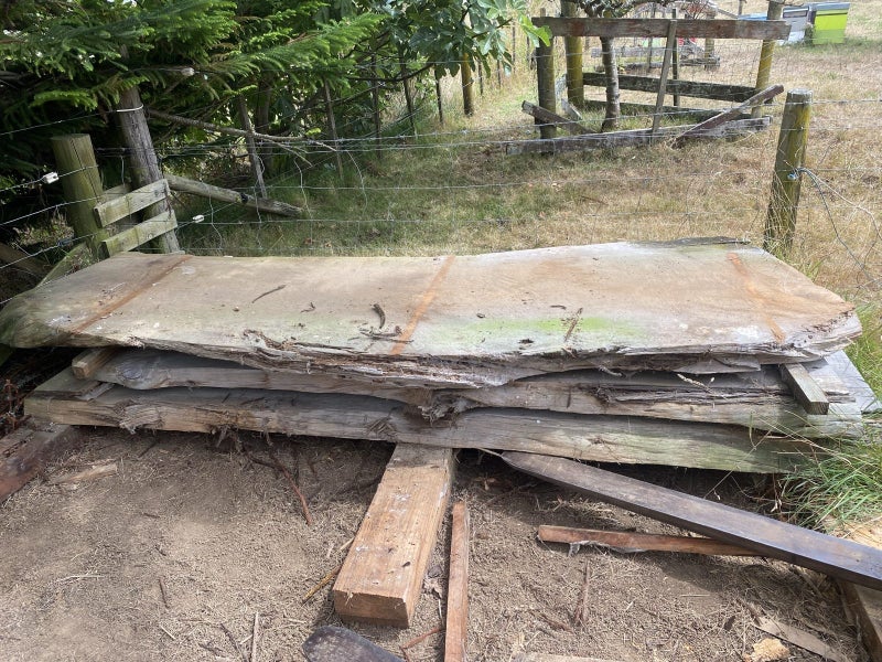 Macrocarpa slab 3.2mtr Carousel 2
