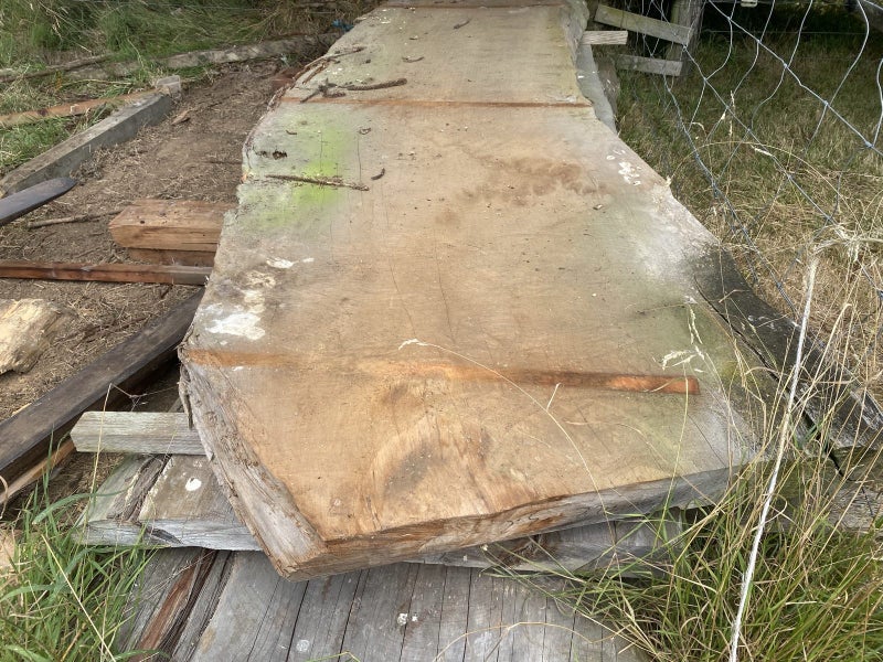Macrocarpa slab 3.2mtr Carousel 6