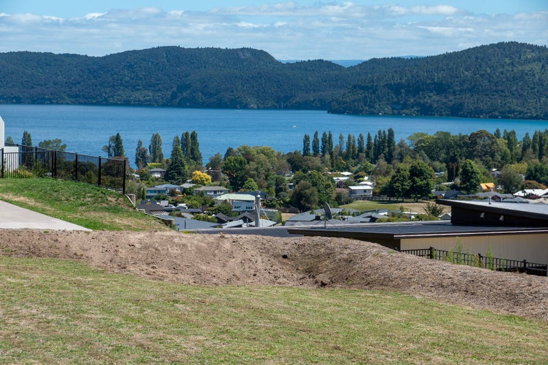 Image 1 of 12