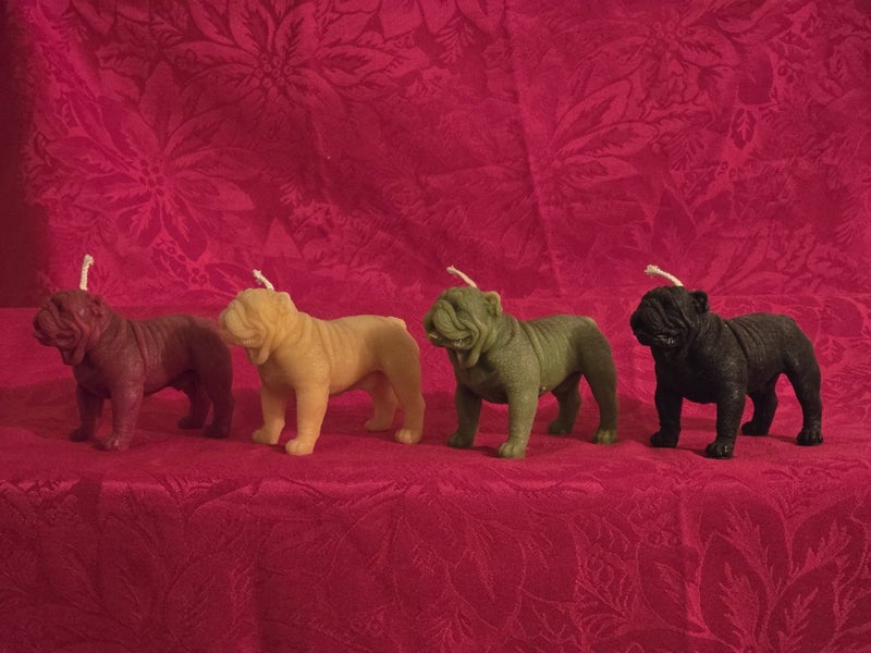 Bulldog Lovers - Get the full set Carousel 1