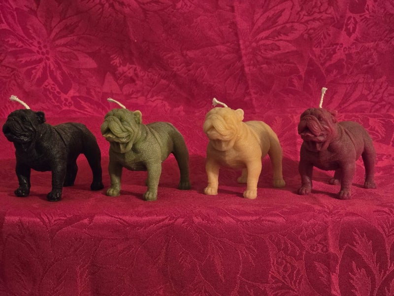 Bulldog Lovers - Get the full set Carousel 2