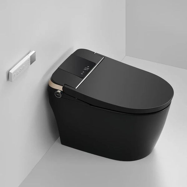 Intelligent Electric Smart Toilet Carousel 1